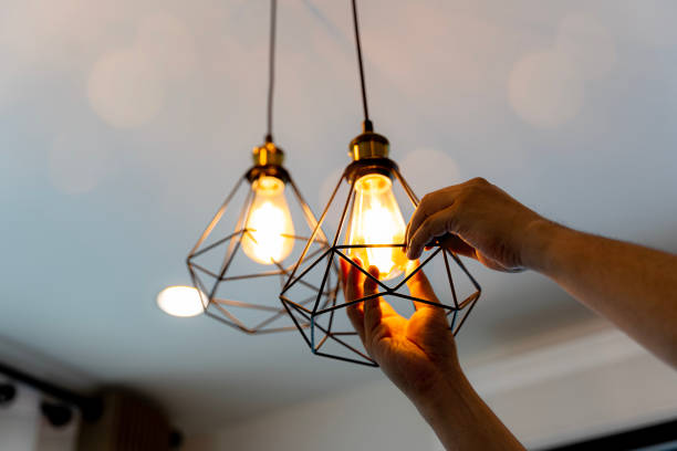 Best Outdoor Lighting Installation  in Wallace, NC